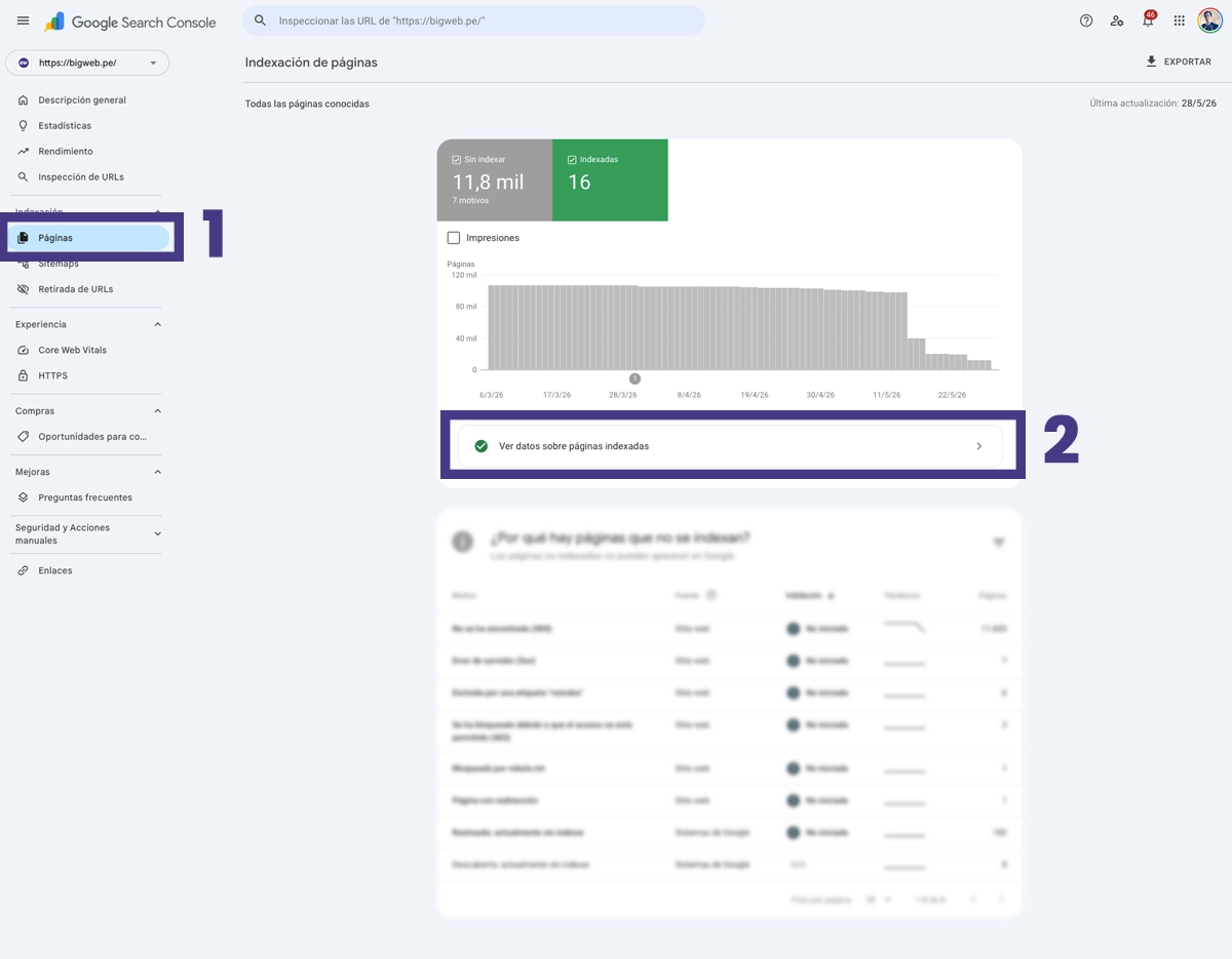 El diagnóstico preciso: Google Search Console